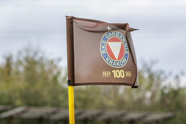 中表现出些 中表现出些