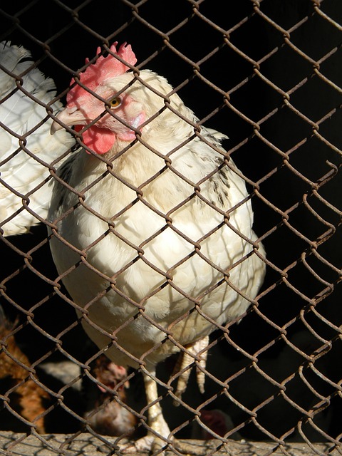 定的影响 定的影响