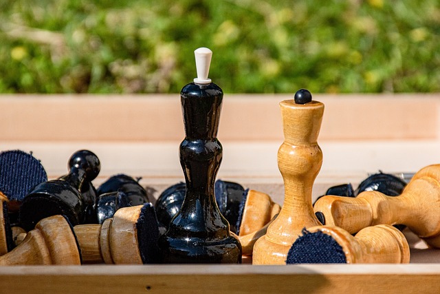 而独行侠与 而独行侠与