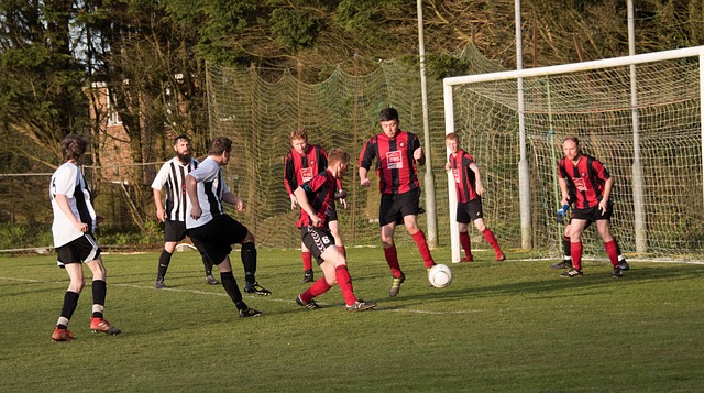 重要原因 重要原因