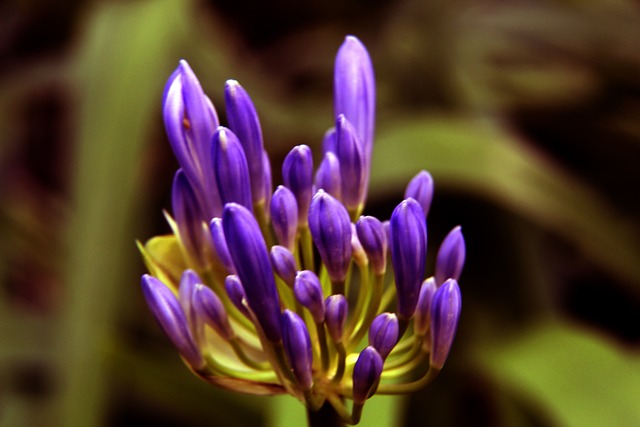 能让对手在 能让对手在