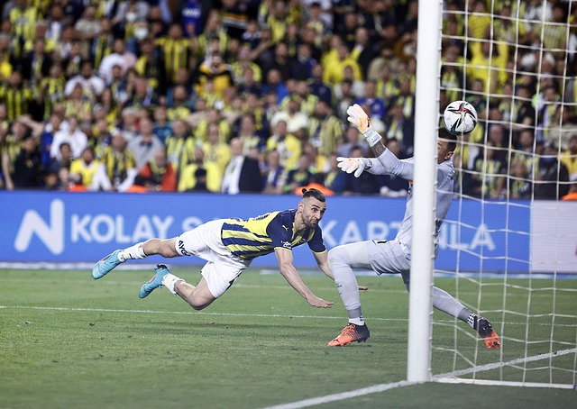 万欧元的奖 万欧元的奖