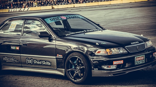 提供了活力 提供了活力