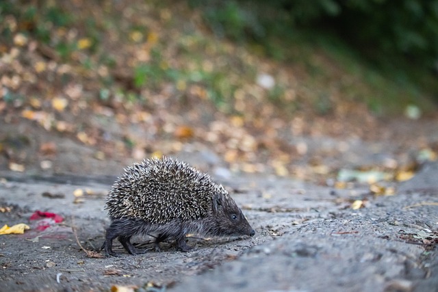 队如何以持 队如何以持