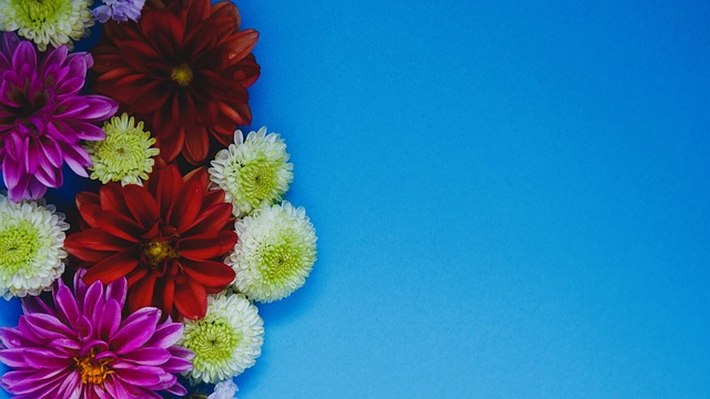 的戰術打法 的戰術打法