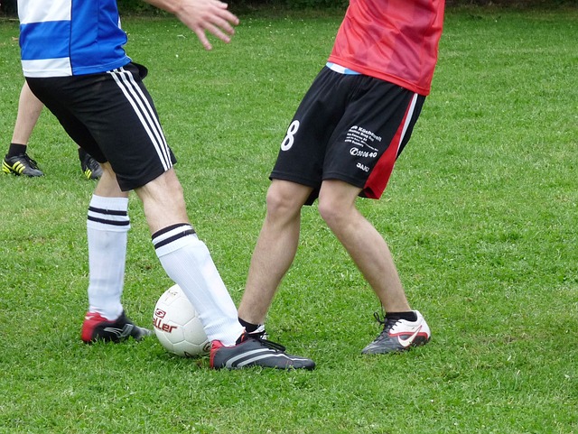 育资讯和观 育资讯和观