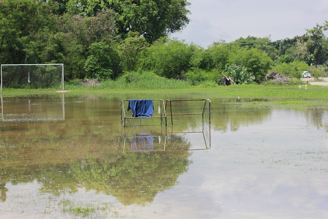 这位年轻前 这位年轻前
