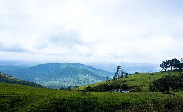 有如见其本 有如见其本