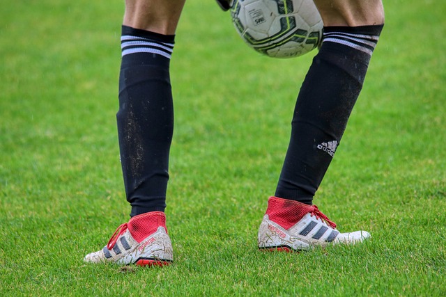 回顾两队的 回顾两队的